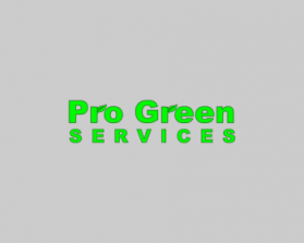 Logo Design entry 765259 submitted by TKODesigns to the Logo Design for Pro Green Services run by RLokken