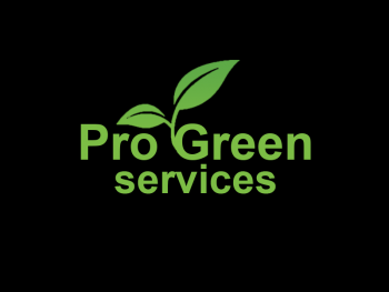 Logo Design entry 765269 submitted by Mar1uS to the Logo Design for Pro Green Services run by RLokken