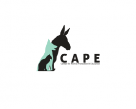 Logo Design entry 765795 submitted by Lifedrops to the Logo Design for Center for Animal Protection & Education (CAPE) run by Shewster