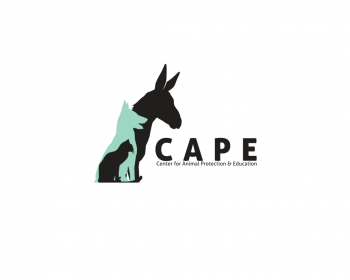 Logo Design entry 794783 submitted by TKODesigns