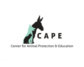 Logo Design entry 765796 submitted by TKODesigns to the Logo Design for Center for Animal Protection & Education (CAPE) run by Shewster