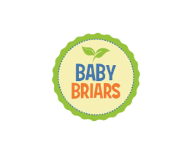 Logo Design entry 768942 submitted by Rikfan to the Logo Design for Baby Briars run by mikebrooks