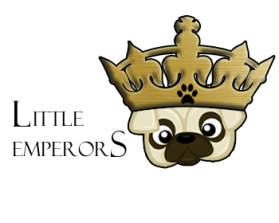 Logo Design entry 773641 submitted by italian to the Logo Design for Little Emperors  run by dchristensen