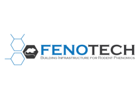 Logo Design entry 782486 submitted by jhau86 to the Logo Design for Fenotech Inc. run by zhiyong