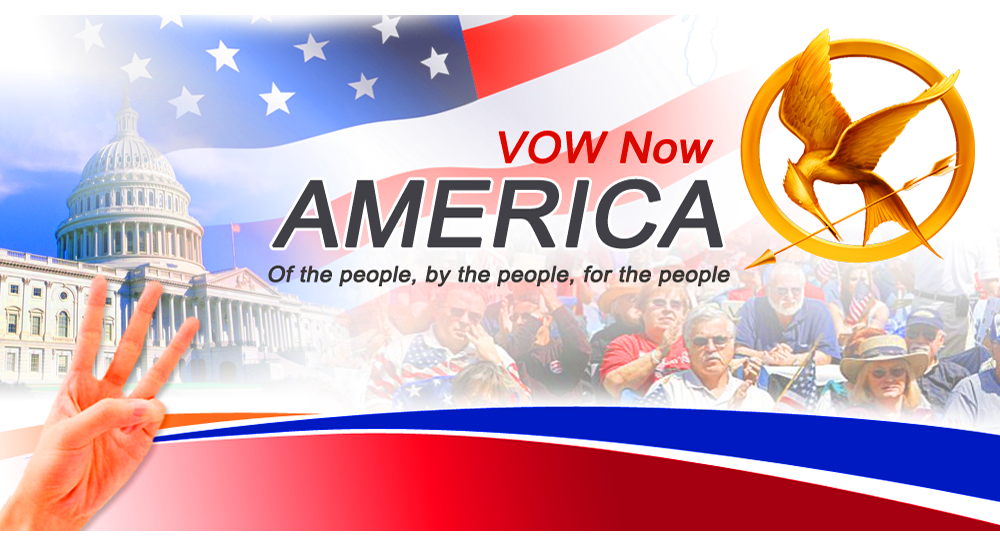 Banner Ad Design entry 784848 submitted by PEACEMAKER to the Banner Ad Design for VOWnowAmerica run by Paprunner