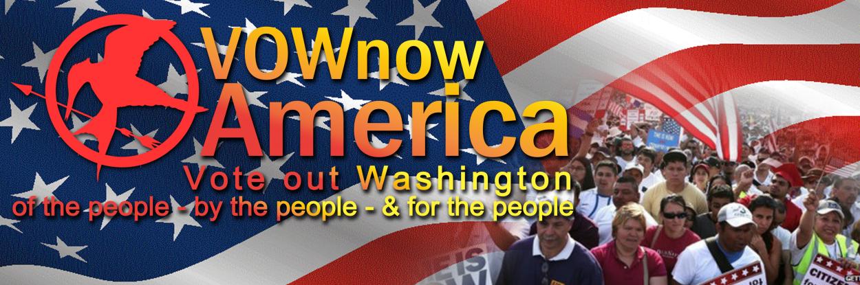 Banner Ad Design entry 784826 submitted by ady hoki to the Banner Ad Design for VOWnowAmerica run by Paprunner