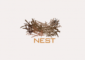 Logo Design Entry 796244 submitted by DeOroDesigns to the contest for Nest run by DawnInMontana