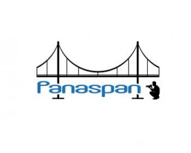 Logo Design entry 802185 submitted by FactoryMinion to the Logo Design for panaspan run by bmcfarlin