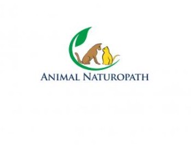 Logo Design entry 818347 submitted by sechtor to the Logo Design for Animal Naturopath run by animalnaturo