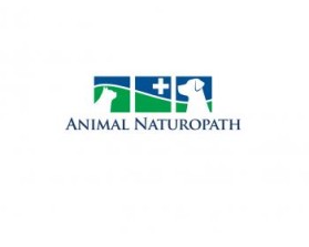 Logo Design entry 818348 submitted by J.D to the Logo Design for Animal Naturopath run by animalnaturo