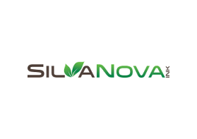 Logo Design entry 835462 submitted by evycantiq to the Logo Design for SilvaNova run by rjdahlstrom