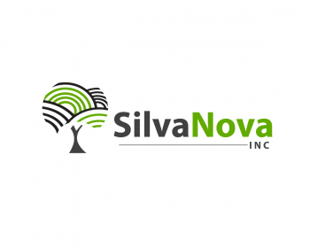 Logo Design entry 835488 submitted by PEACEMAKER to the Logo Design for SilvaNova run by rjdahlstrom