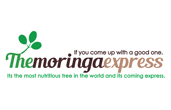 Logo Design entry 866184 submitted by DORIANA999