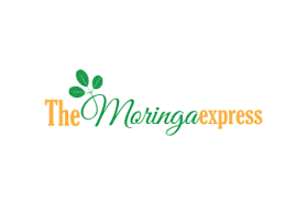 Logo Design entry 835941 submitted by shabrinart2 to the Logo Design for Themoringaexpress run by Pete