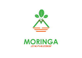 Logo Design entry 867408 submitted by DORIANA999