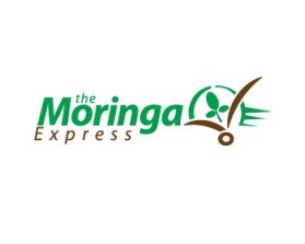 Logo Design Entry 836020 submitted by jnjnnino to the contest for Themoringaexpress run by Pete