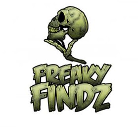 Logo Design Entry 840624 submitted by King Nothing to the contest for Freaky Findz run by FreakyFindz