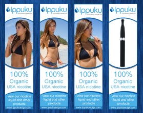Banner Ad Design entry 844833 submitted by dheeraj