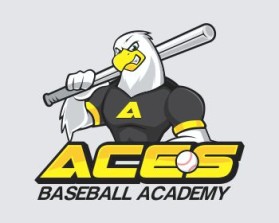 Logo Design entry 855225 submitted by sambel09 to the Logo Design for aces baseball academy run by aces baseball