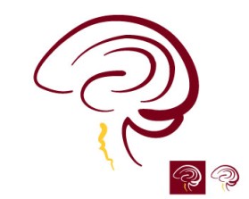 Logo Design Entry 862921 submitted by shnlnk to the contest for Minnesota Neurosurgery (U of MN, Department of Neurosurgery) run by Sue Julson