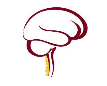 Logo Design entry 862927 submitted by shnlnk to the Logo Design for Minnesota Neurosurgery (U of MN, Department of Neurosurgery) run by Sue Julson