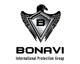 Logo Design Entry 871607 submitted by borzoid to the contest for Bonavi International Protection Group LLC run by fergusb1