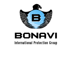 Logo Design entry 871618 submitted by lurth to the Logo Design for Bonavi International Protection Group LLC run by fergusb1