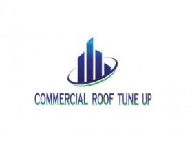 Logo Design entry 887395 submitted by trisuhani to the Logo Design for Commercial Roof Tine Up run by bladerunner