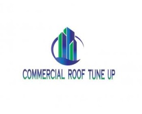 Logo Design entry 887398 submitted by shabbir dharwala to the Logo Design for Commercial Roof Tine Up run by bladerunner