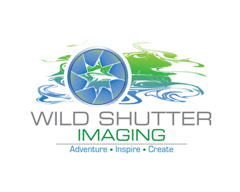 Logo Design entry 894657 submitted by JMR2013 to the Logo Design for Wild Shutter Imaging run by lburgh8910