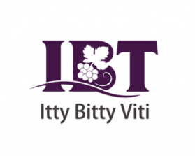 Logo Design entry 896769 submitted by rivasz to the Logo Design for Itty Bitty Viti run by Asever556
