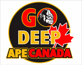 Logo Design entry 903801 submitted by Sammy to the Logo Design for Apevibro.com    APE CANADA run by ColingAPE