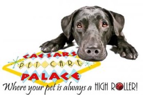 Logo Design entry 906911 submitted by k3m3 to the Logo Design for Caesar's Pet Care Palace run by joyfuljennyb