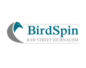 Logo Design entry 907108 submitted by Yurie to the Logo Design for BirdSpin run by skyler@trusky.com