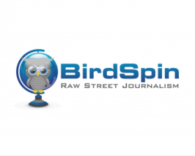 Logo Design entry 907109 submitted by Sammy to the Logo Design for BirdSpin run by skyler@trusky.com