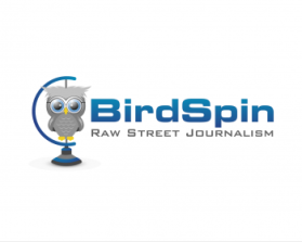 Logo Design entry 907110 submitted by Yurie to the Logo Design for BirdSpin run by skyler@trusky.com