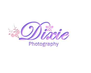 Logo Design entry 919963 submitted by dindadesign to the Logo Design for Dixie Photography run by dixiephotography