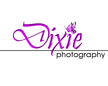 Logo Design entry 919946 submitted by clarence to the Logo Design for Dixie Photography run by dixiephotography