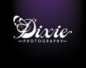 Logo Design entry 919960 submitted by King Nothing to the Logo Design for Dixie Photography run by dixiephotography