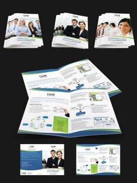 Brochure Design entry 964276 submitted by wirepaper