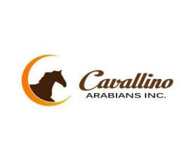 Logo Design entry 927330 submitted by Bima Sakti to the Logo Design for Cavallino Arabians, Inc run by raminetc