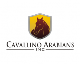 Logo Design entry 927332 submitted by Bima Sakti to the Logo Design for Cavallino Arabians, Inc run by raminetc