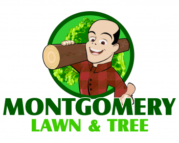 Logo Design entry 972396 submitted by rmorgansr