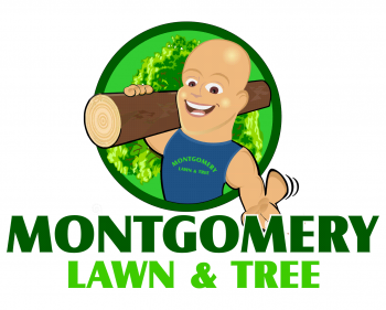 Logo Design entry 972750 submitted by rmorgansr