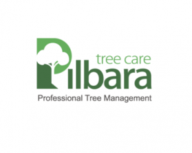 Logo Design entry 937740 submitted by Ibrahimmotorwala5253 to the Logo Design for Pilbara Tree Care run by ptc