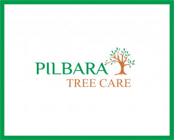 Logo Design entry 937752 submitted by evycantiq to the Logo Design for Pilbara Tree Care run by ptc