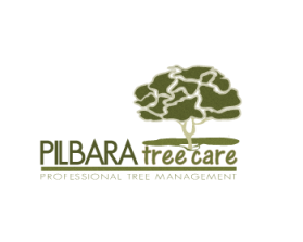 Logo Design entry 937768 submitted by Ibrahimmotorwala5253 to the Logo Design for Pilbara Tree Care run by ptc