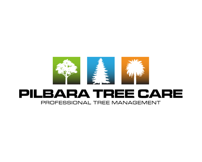 Logo Design entry 937782 submitted by charmaine to the Logo Design for Pilbara Tree Care run by ptc