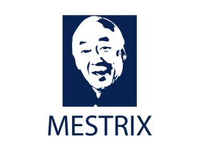 Logo Design entry 944993 submitted by ahillonis to the Logo Design for Mestrix run by raiam