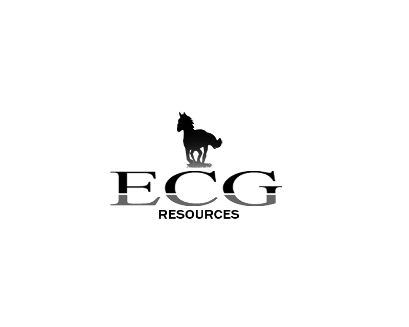 Logo Design entry 945472 submitted by goodness to the Logo Design for ECG Resources run by GTecg